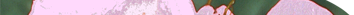Eglantine
