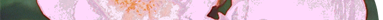 Eglantine