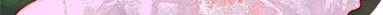 Eglantine
