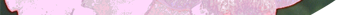 Eglantine