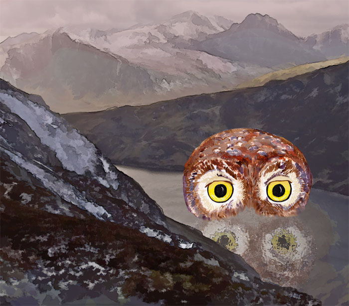 The Owl of Cwm Cawlwyd
