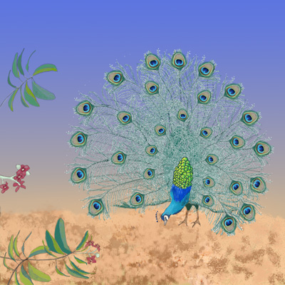 Peacock greeting a sandalwood tree